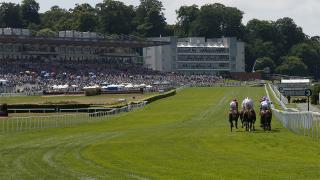 Sandown Park Racecourse